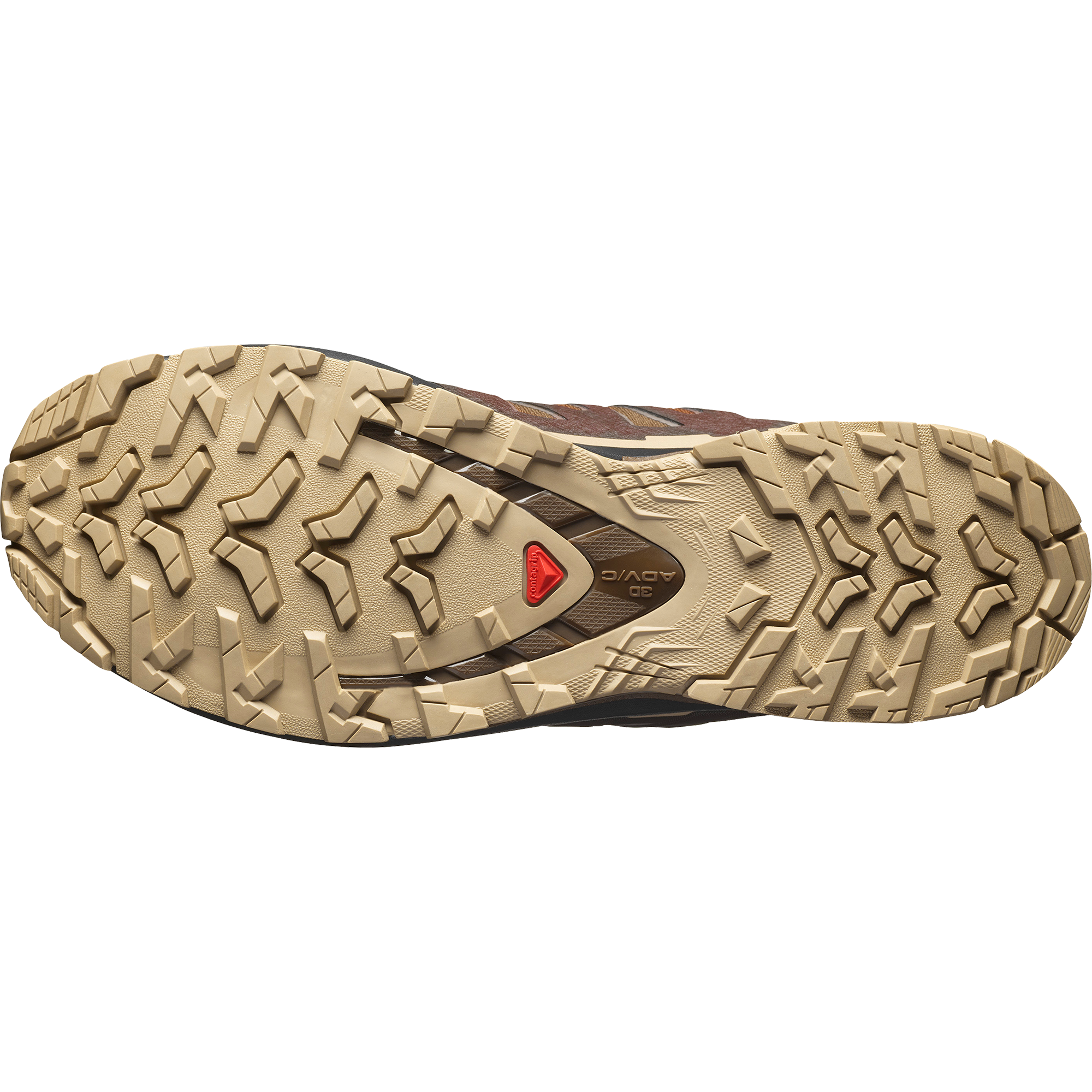 Salomon Xa Pro 3D V9 Gore-Tex Trail Running Shoes Dark Earth
