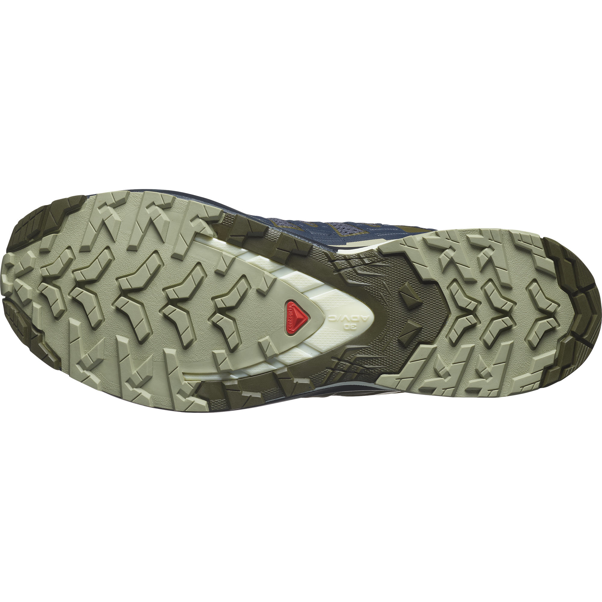 Salomon Xa Pro 3D V9 Trail Running Shoes India Ink
