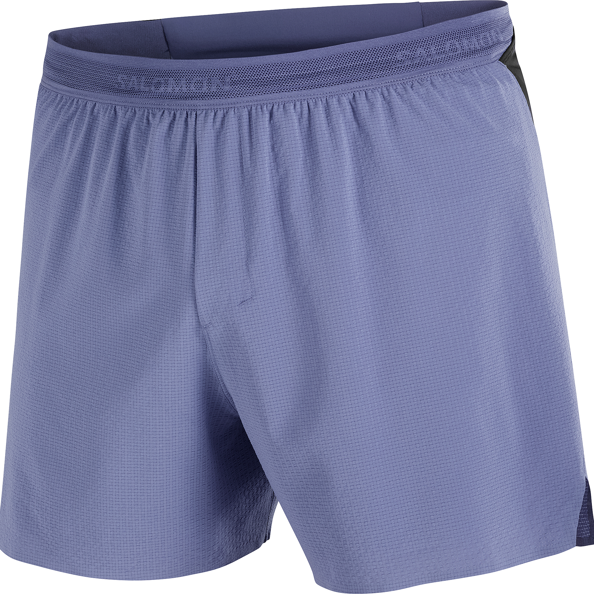 Salomon Sense Aero Stow 5" Shorts