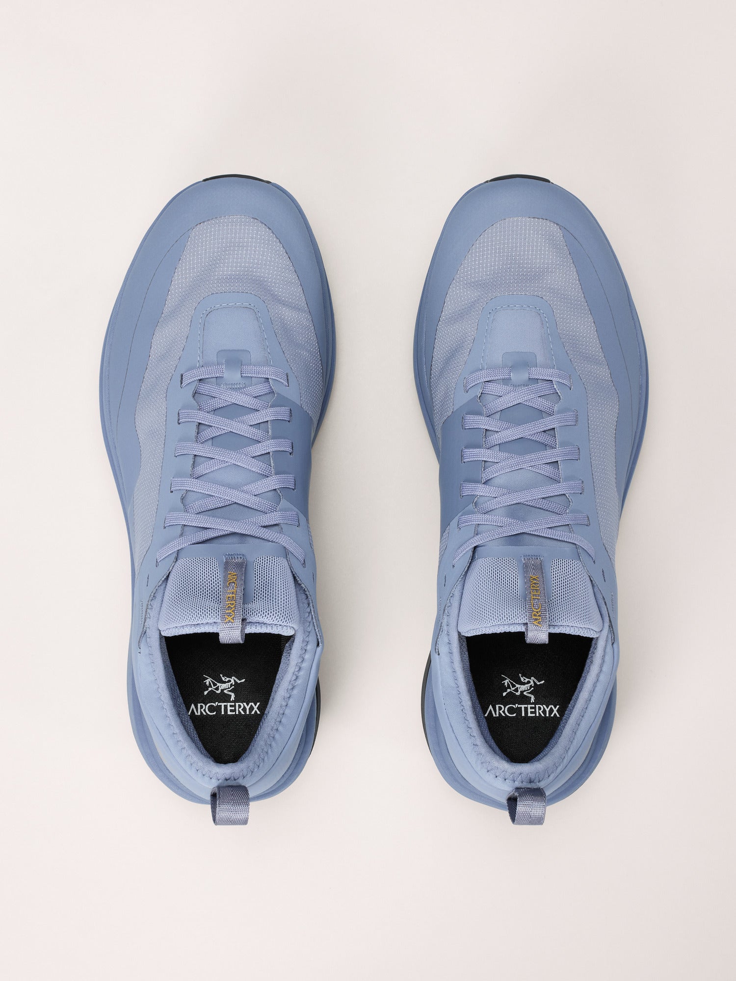 Arcteryx Outlet Sylan Gtx Shoe Mens Stratus Dk Stratus