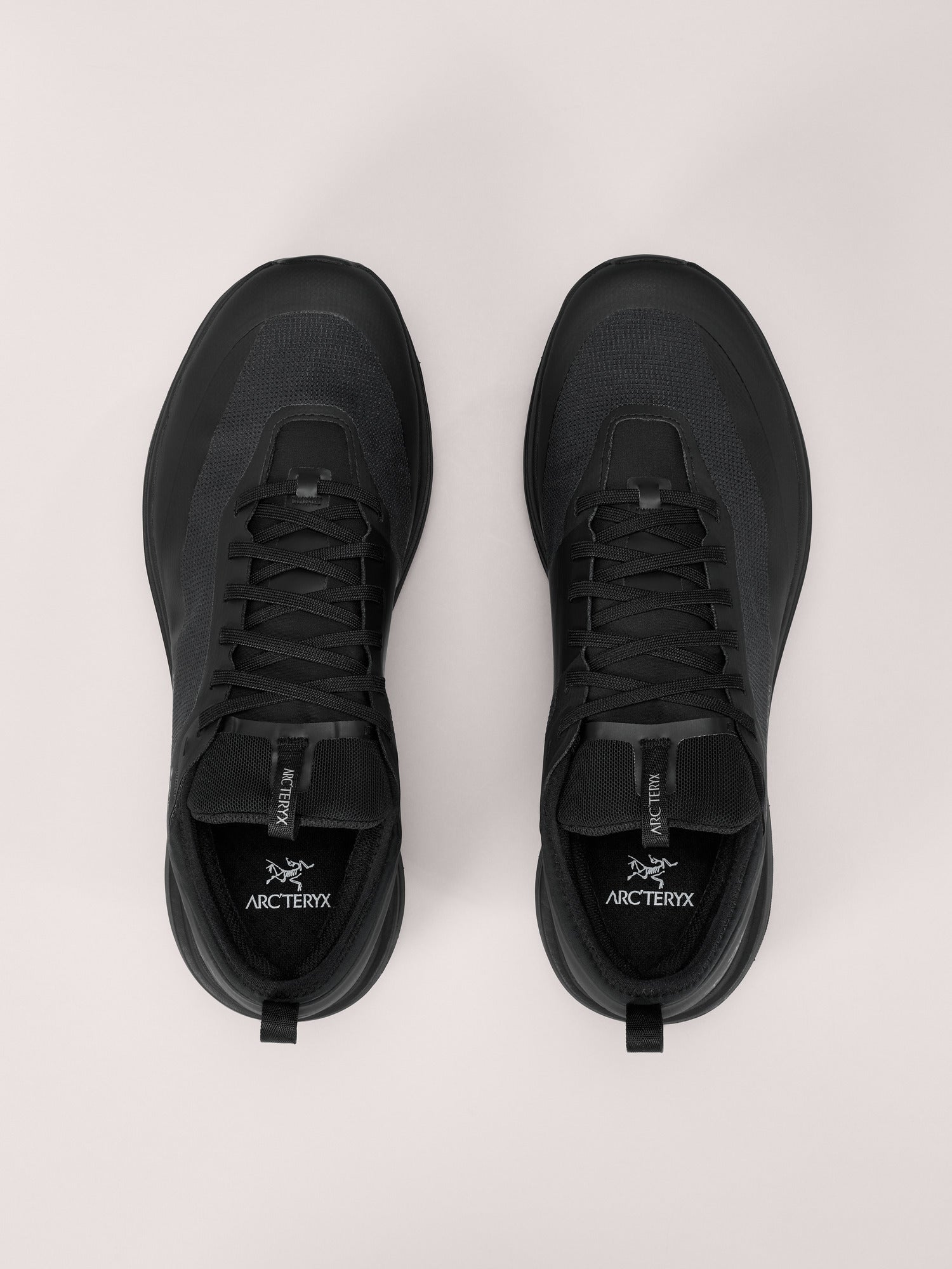Arcteryx Outlet Sylan Gtx Shoe Womens Black