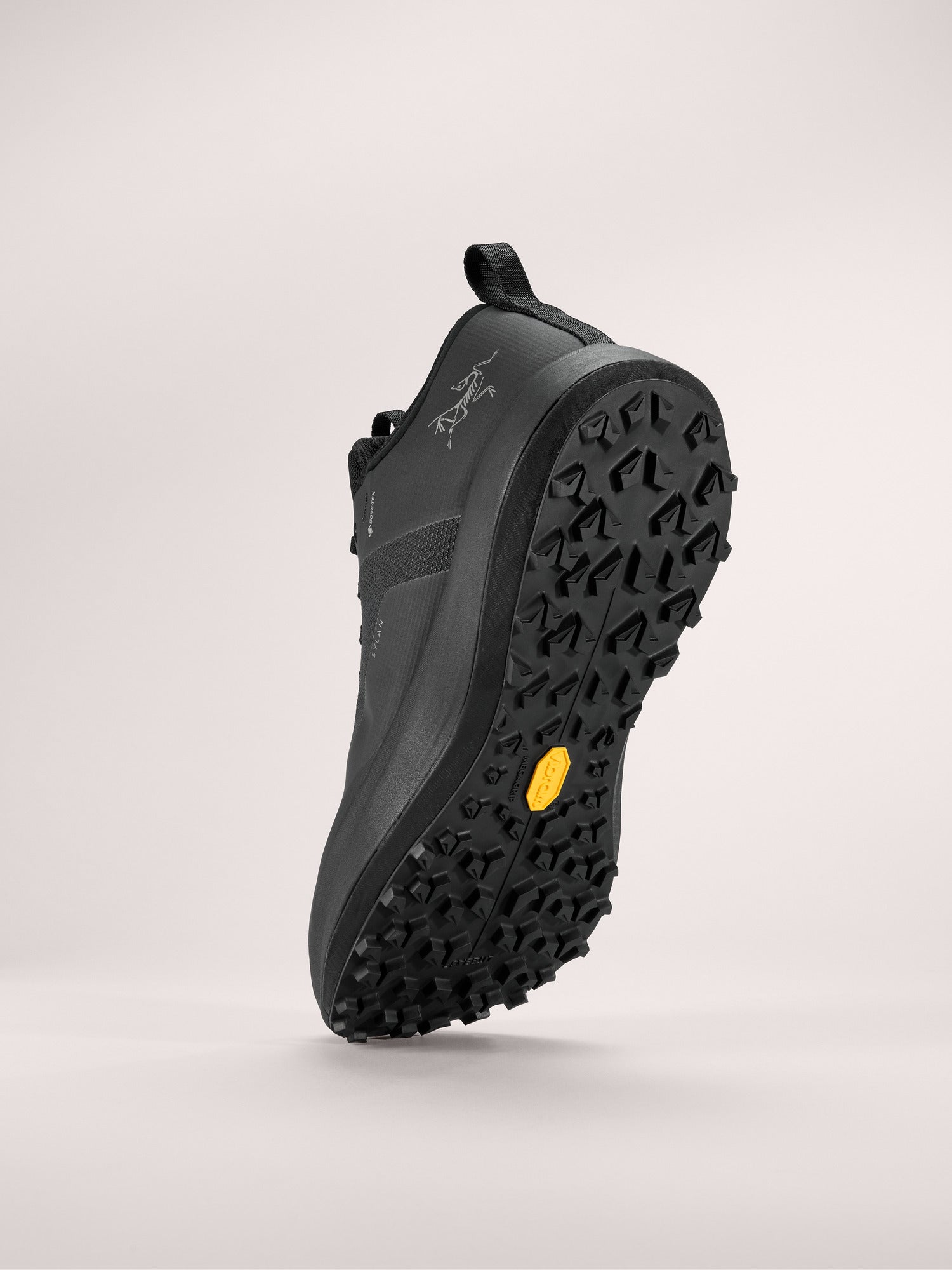 Arcteryx Outlet Sylan Gtx Shoe Womens Black