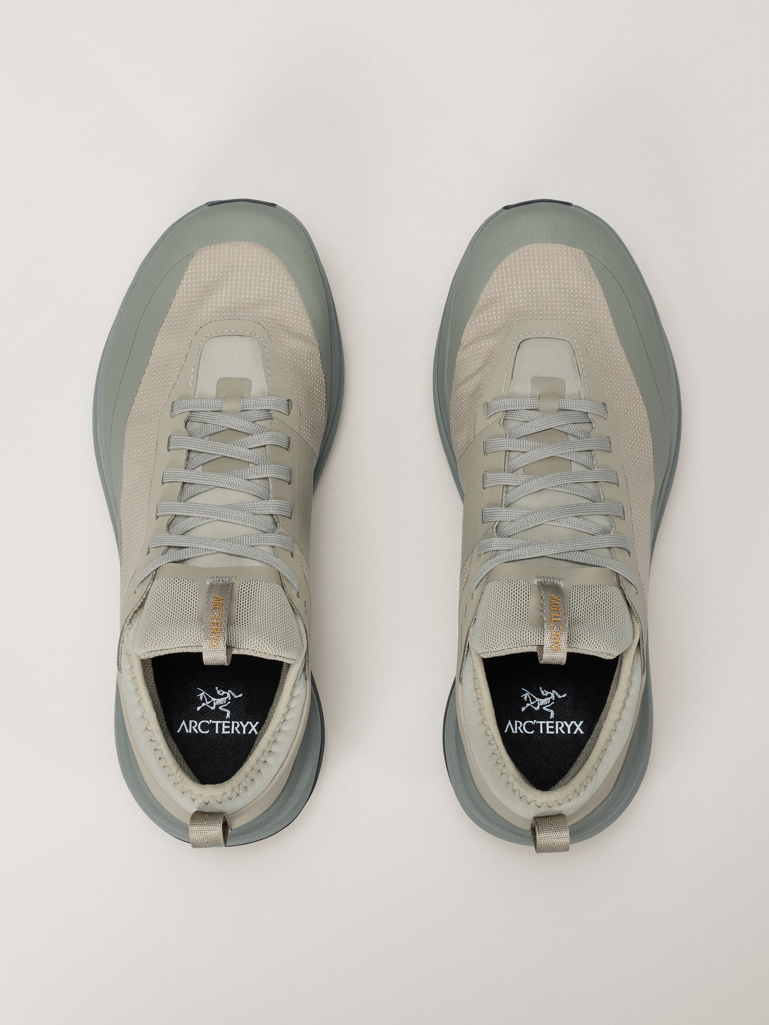 Arcteryx Outlet Sylan Gtx Shoe Womens Lt Forage Forage