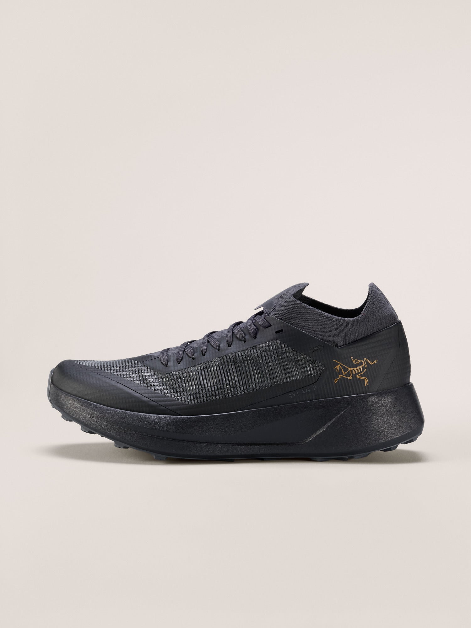 Arcteryx Sylan 2 Shoe Womens Black