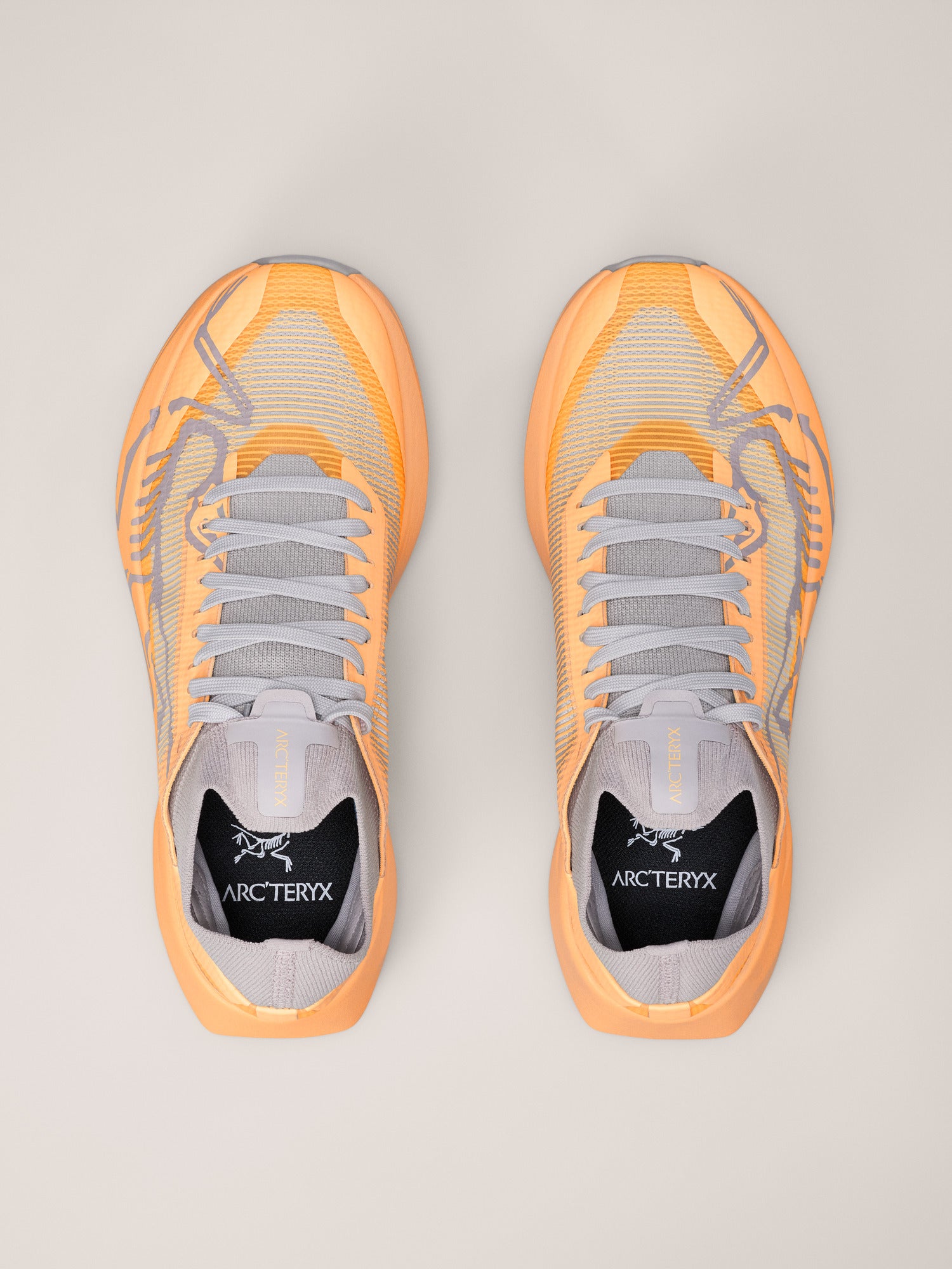 Arcteryx Sylan 2 Shoe Womens Luminary
