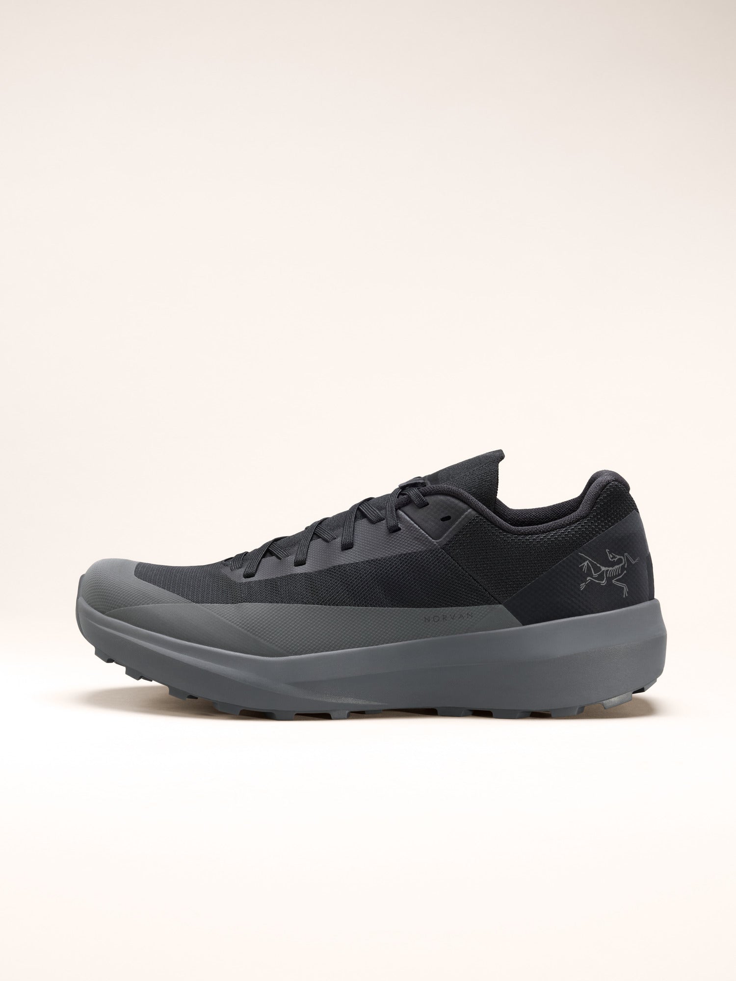 Arcteryx Norvan Ld 4 Shoe Womens Black Graphite