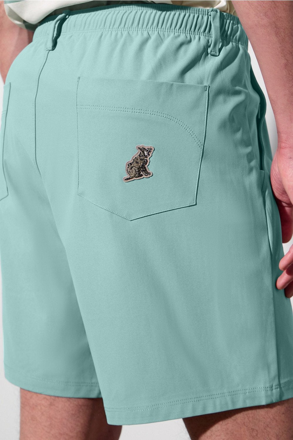 Fabletics The Don Baggy Pull-On Short