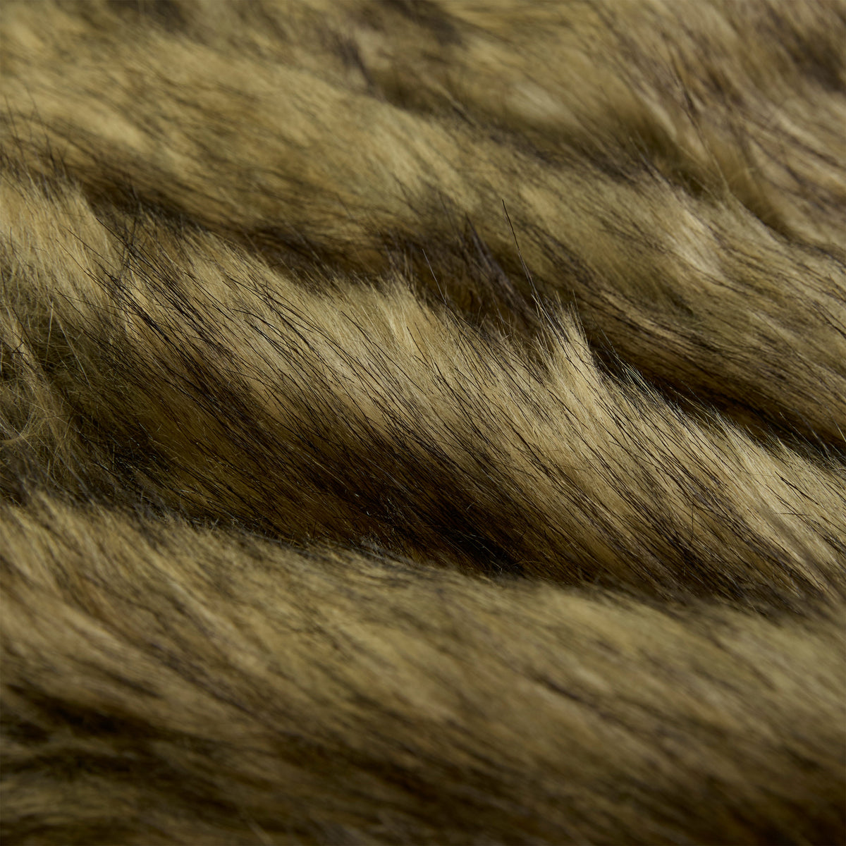 Sp5der Nocturnal Animal Jacket