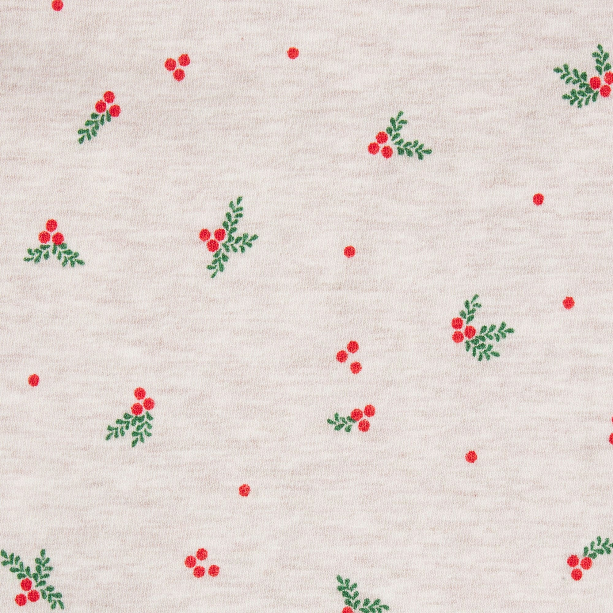 Skims Cotton Jersey T-Shirt Oatmeal Heather Holly Print