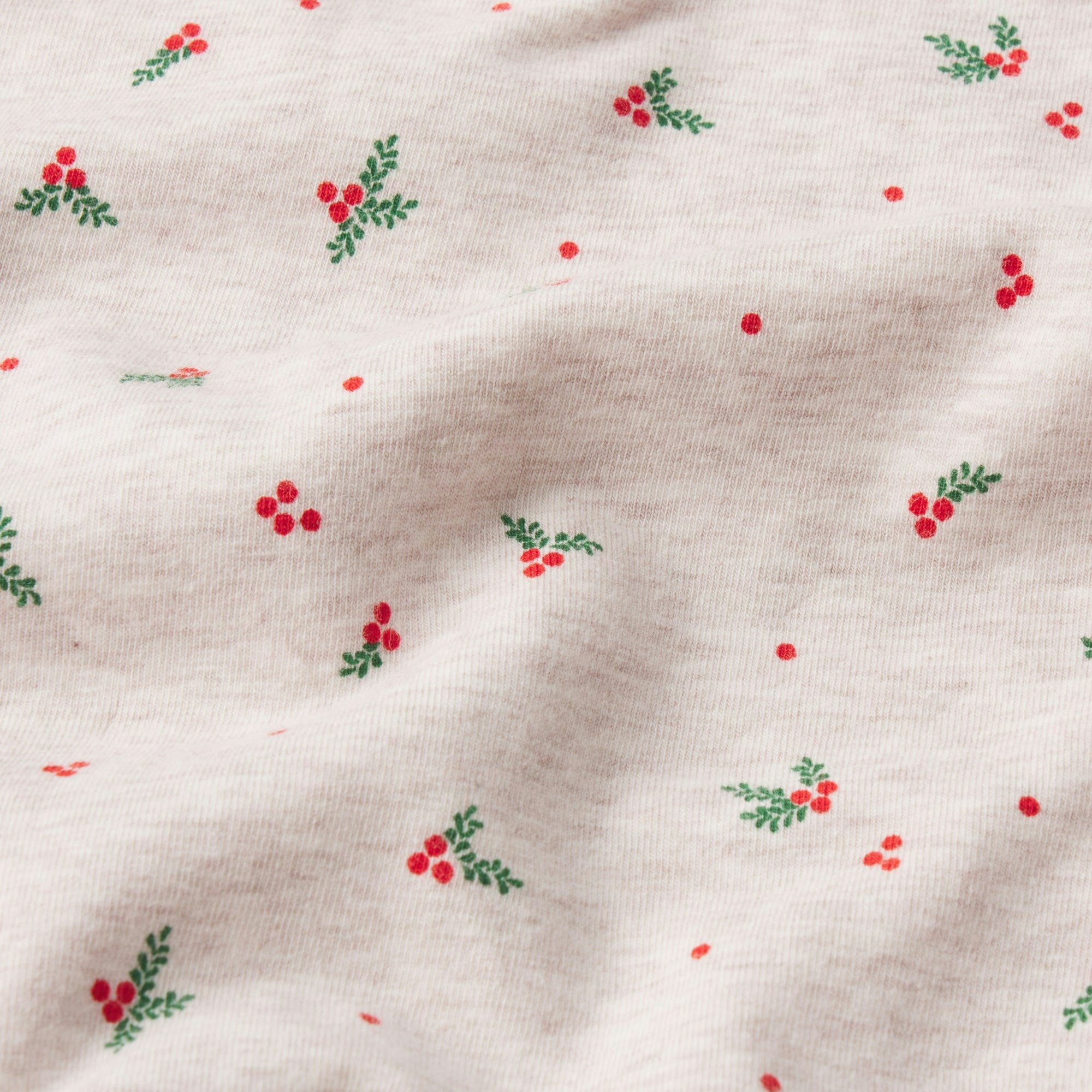 Skims Cotton Jersey T-Shirt Oatmeal Heather Holly Print