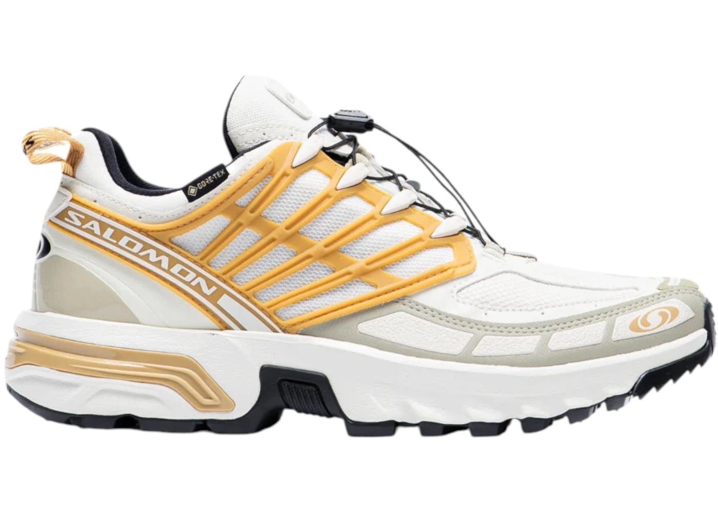 salomon acs pro gore-tex antelope tea