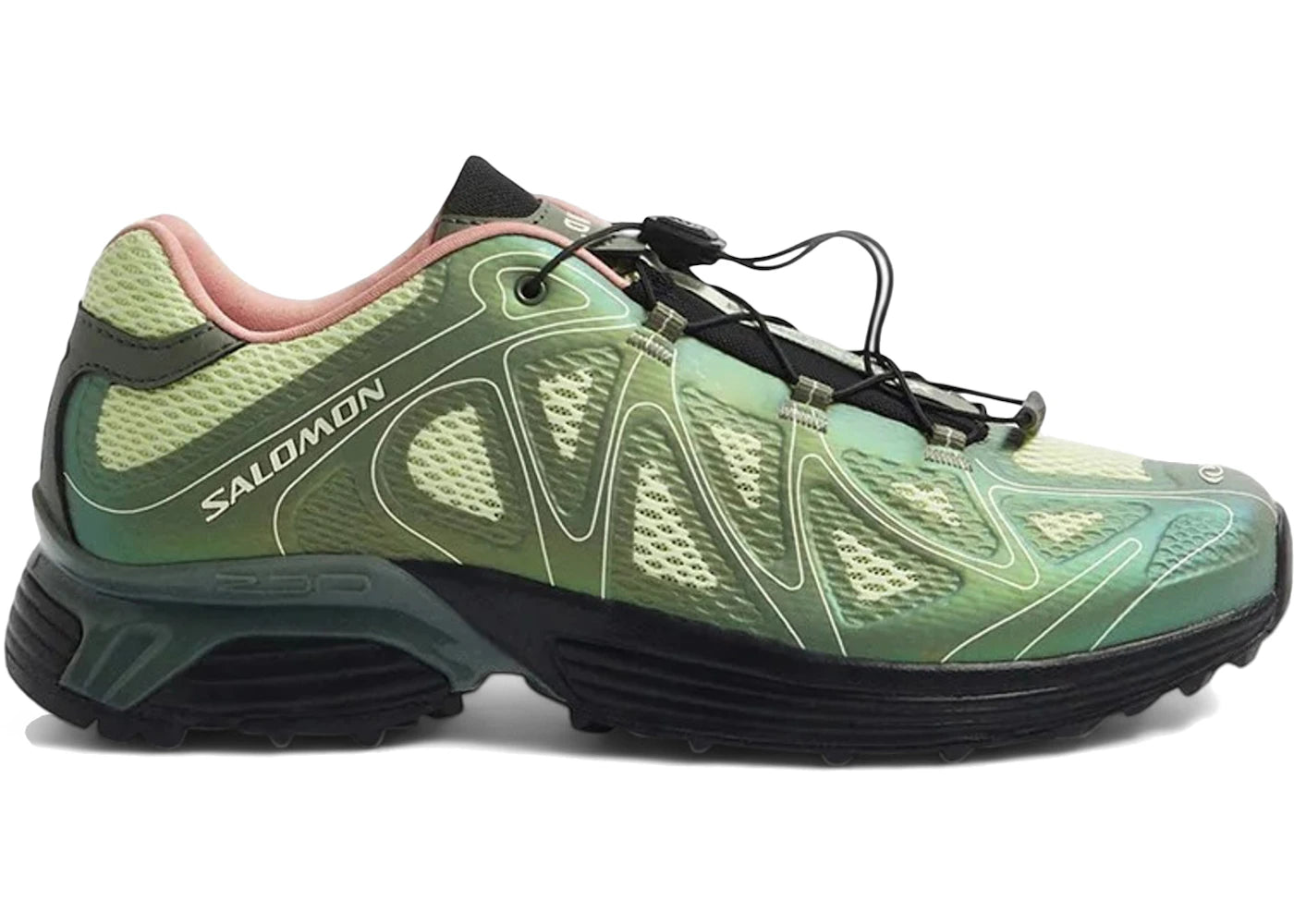 SALOMON VILLAIN 150 × SALOMON SHADOW X M Salomon Villain