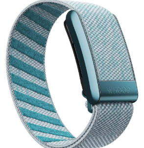 Whoop 4.0 Superknit Ice/Glace - Only band