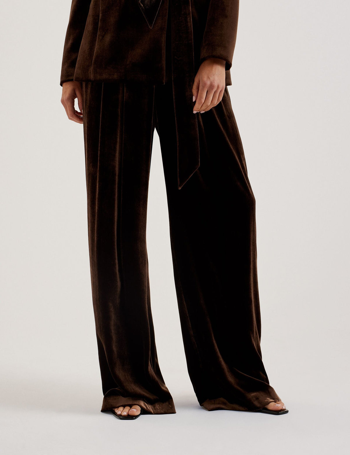 Ted Baker Momijit Velvet Pleated Wide Leg Trousers Women's