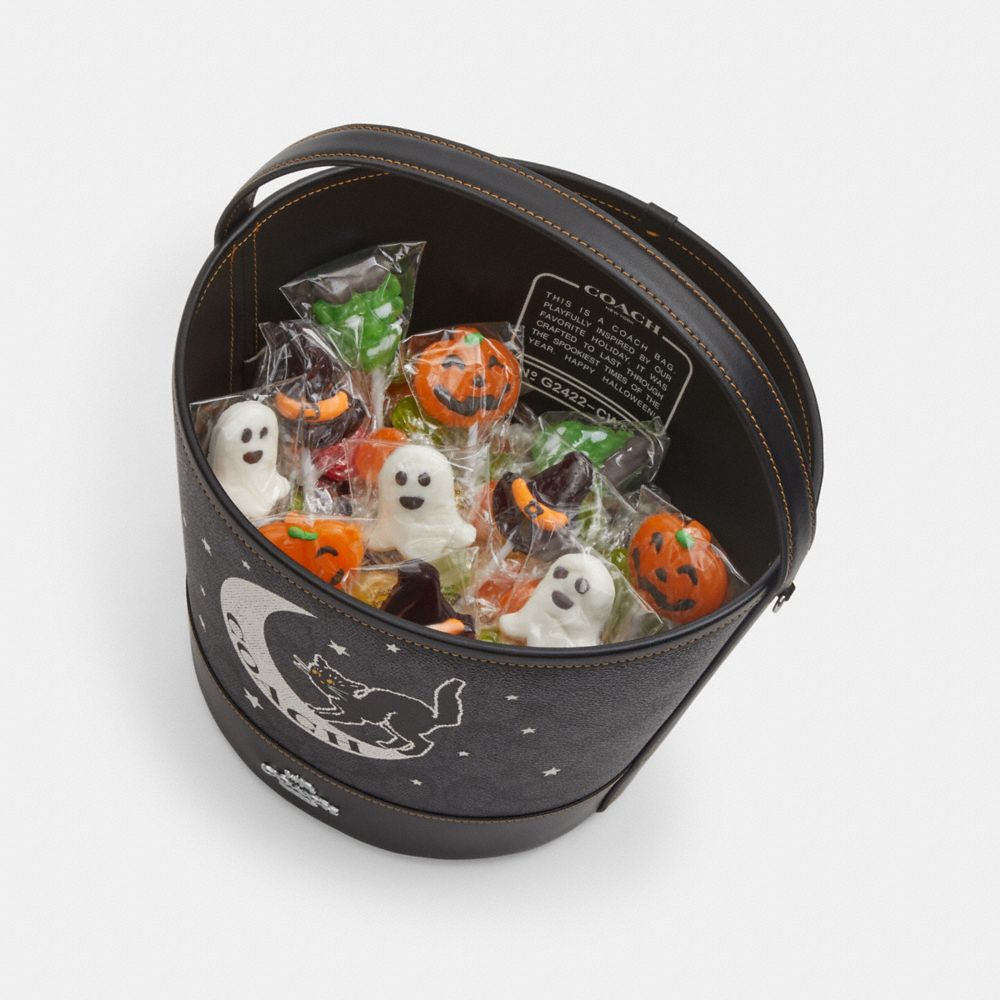 Coach Trick Or Treat Bucket With Halloween Owl In Regenerative Cotton Lh Plum