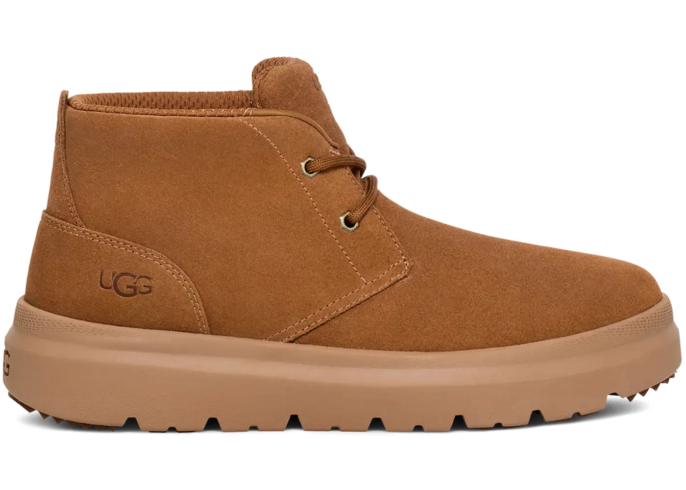ugg burleigh chukka boot chestnut