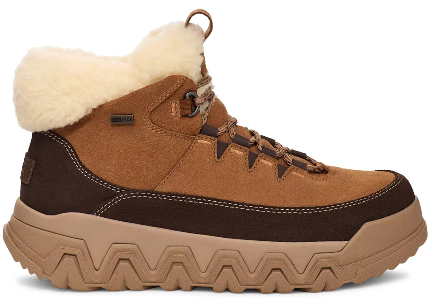 ugg terretrail cozy lace boot chestnut (women's)