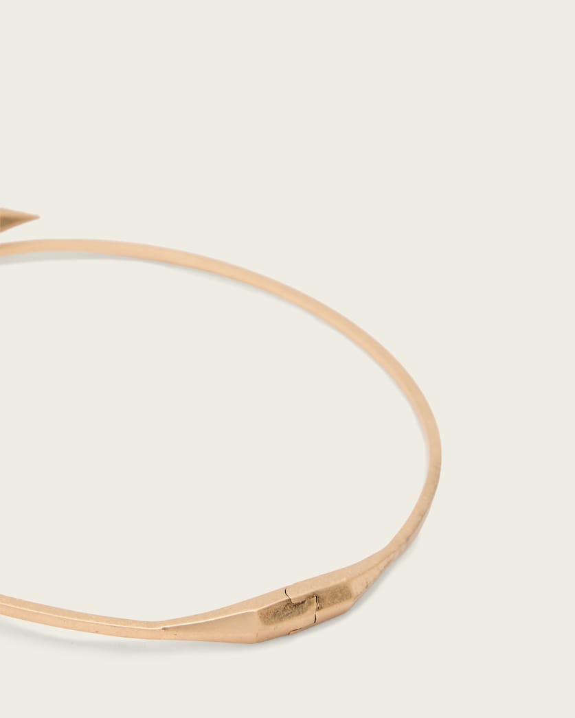 AllSaints Hazel Hinge Necklace Women's Warm Brass Women's
