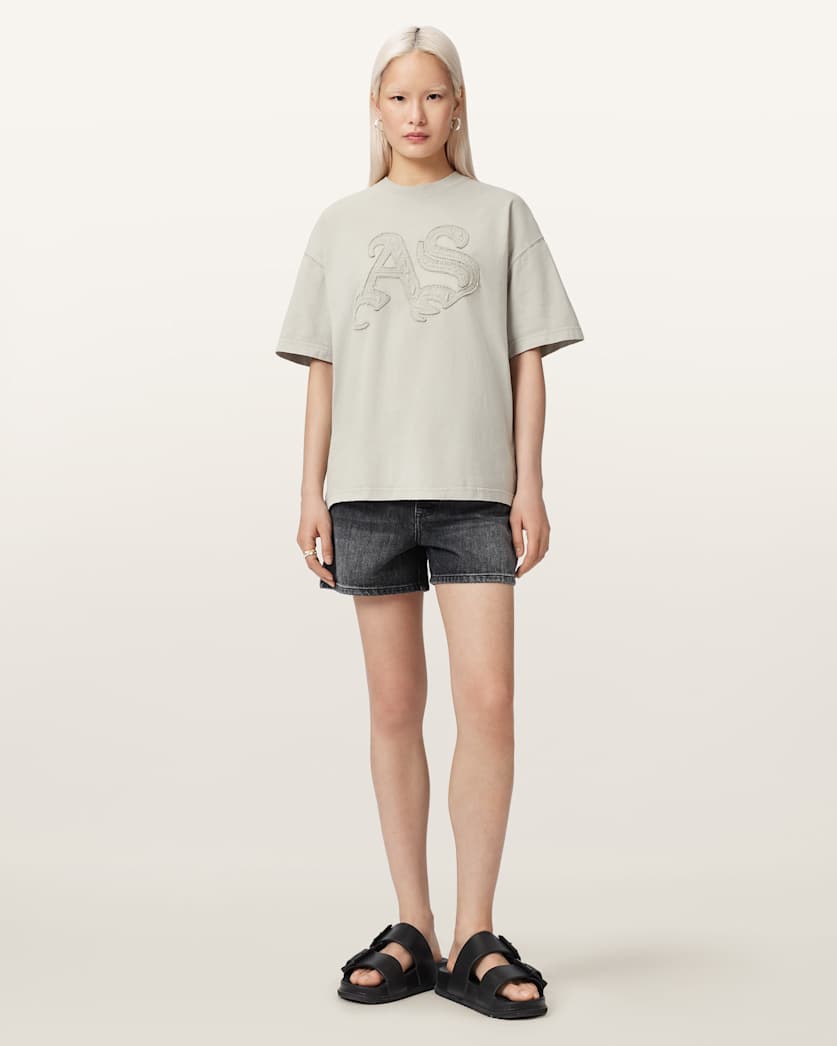 AllSaints Insignia Oversized Etta T Shirt Women's Crystal Pink Women's