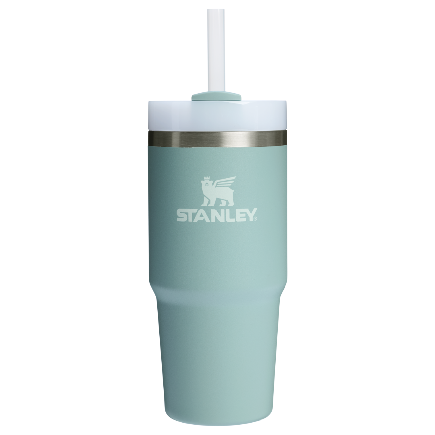 The Quencher H2.0 FlowState Tumbler | 14 OZ Seafoam Seafoam