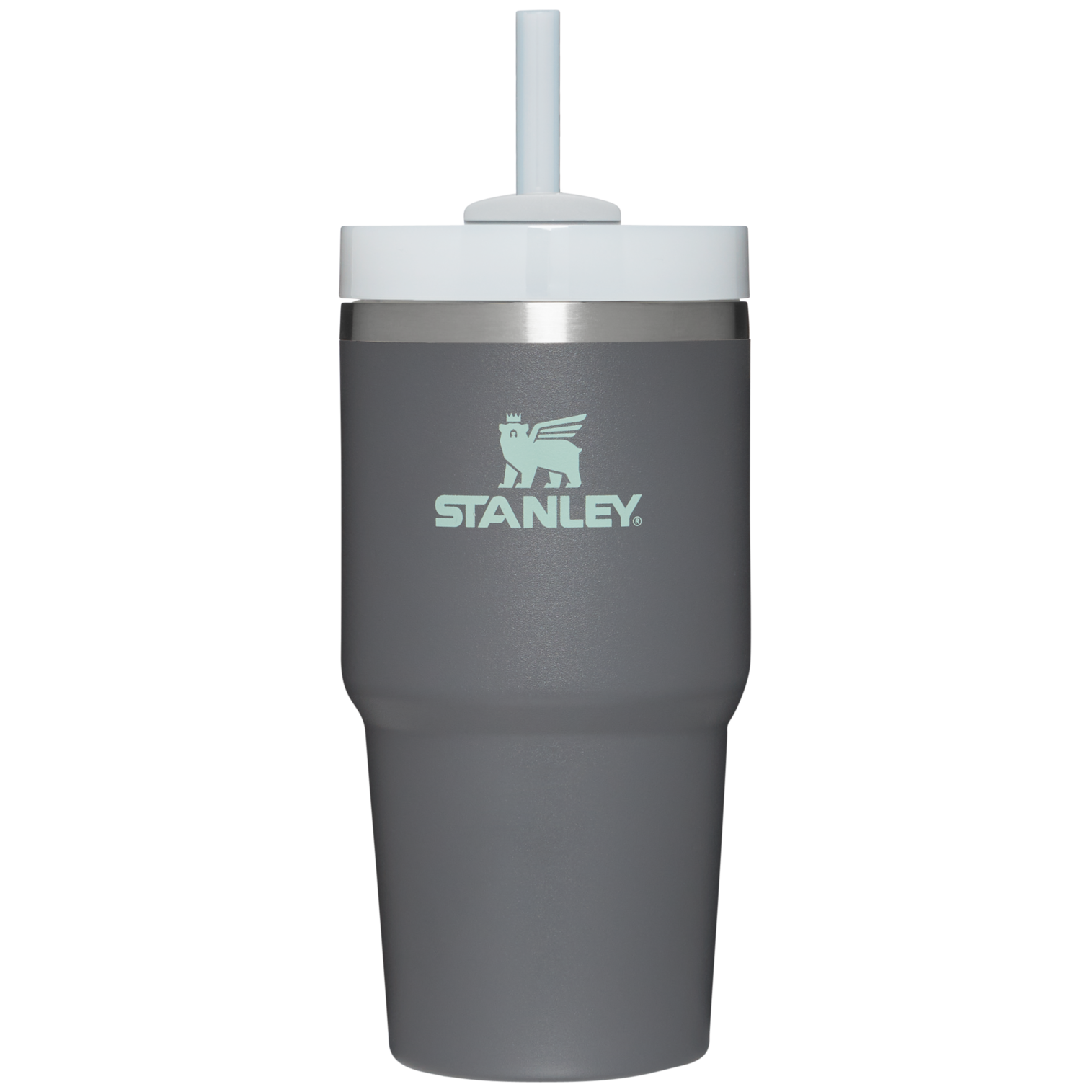 The Quencher H2.0 FlowState Tumbler | 20 OZ Charcoal Charcoal
