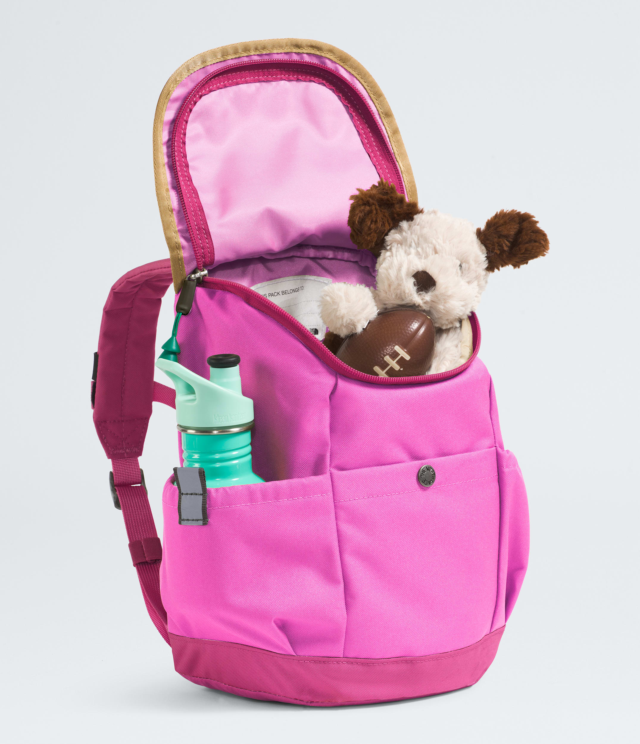 The North Face Youth Mini Explorer Backpack Violet Crocus-Fuchsia Flash