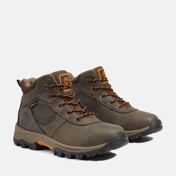 Timberland Youth Mt Maddsen Mid Waterproof Hiking Boot Dark Brown