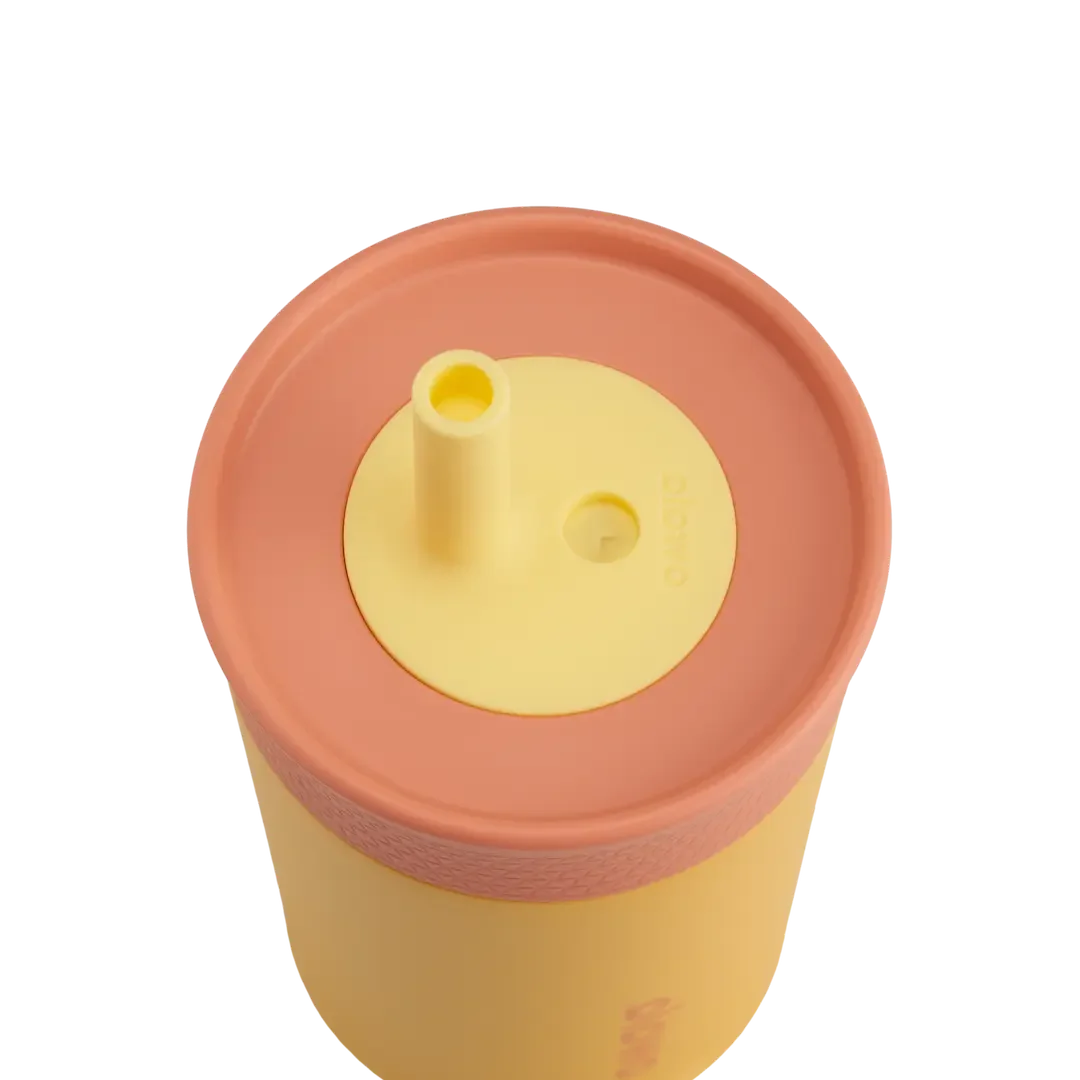 Owala Kids Tumbler Picnic