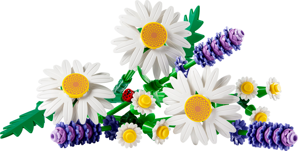 LEGO Botanicals Daisies, packaging
