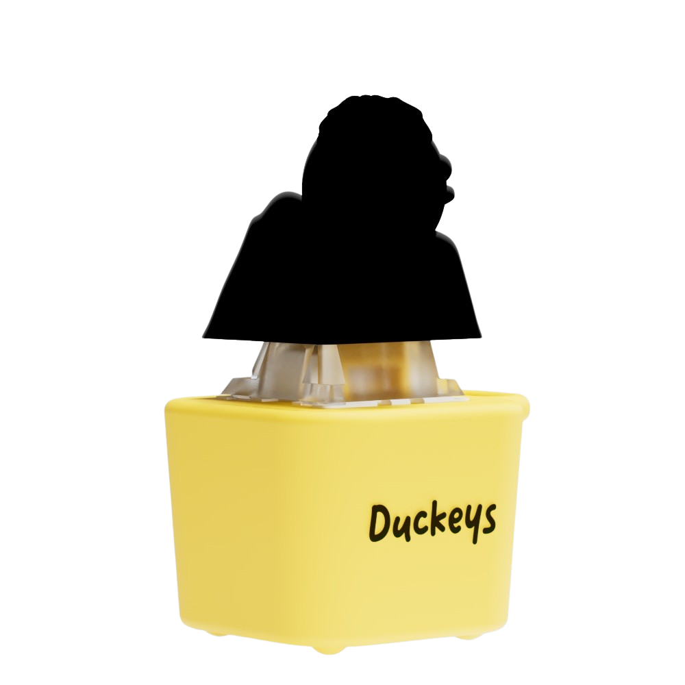 Duckeys Mystery Quackey Series 1 - Fidget Toy That Quacks