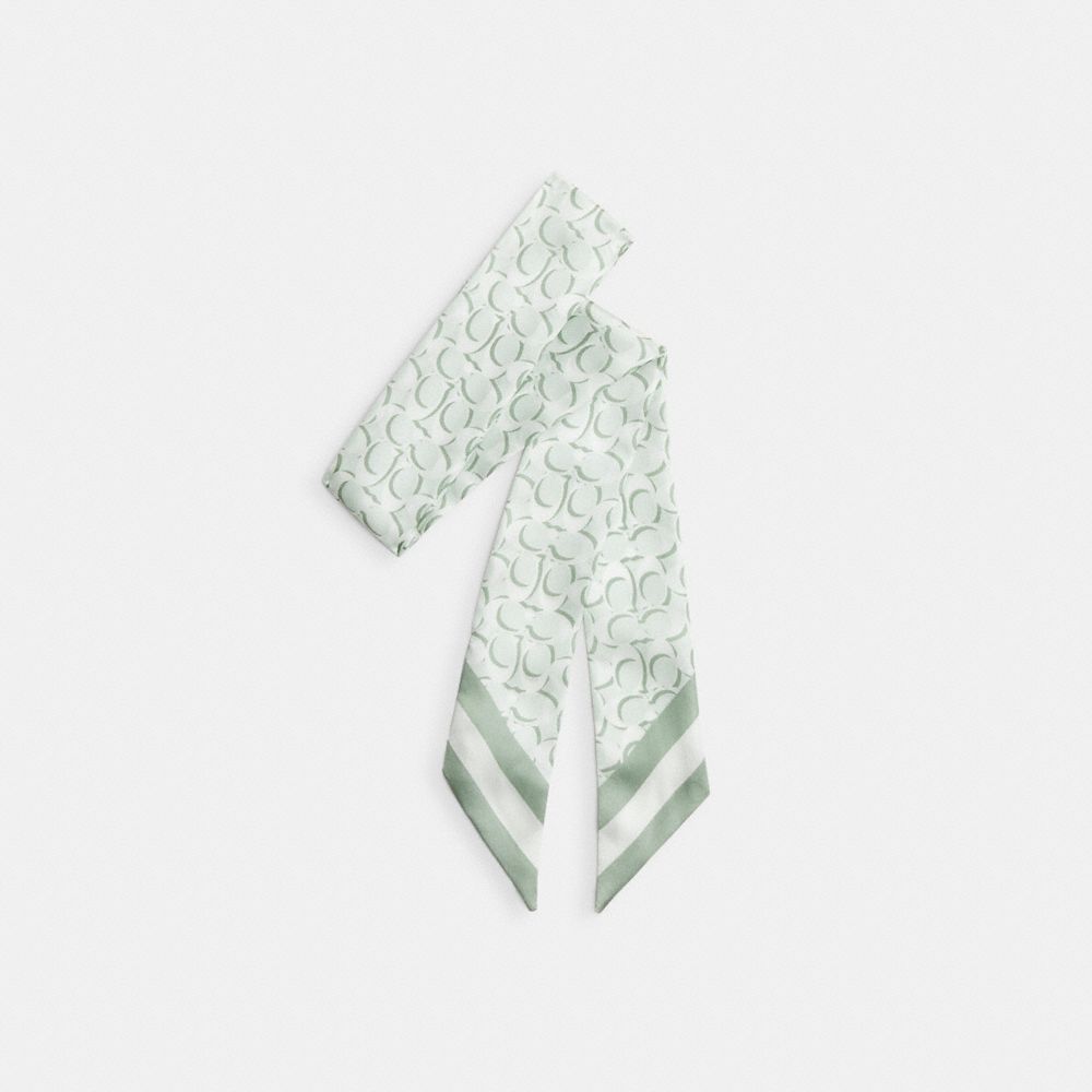 Coach Signature Print Silk Skinny Scarf Pistachio