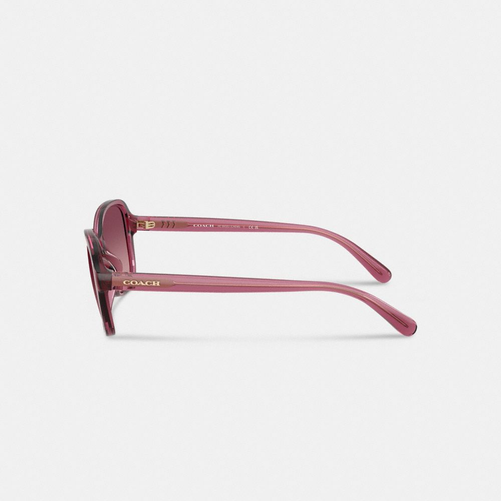 Coach Oversized Oval Sunglasses Berry