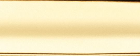 Coach Talia Watch, 22 Mm Gold