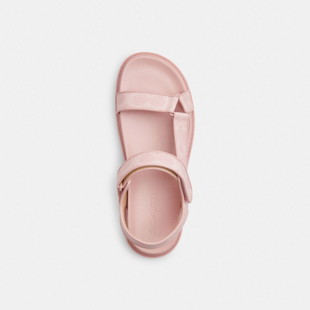 Coach Sport Sandal In Signature Canvas Powder Pink