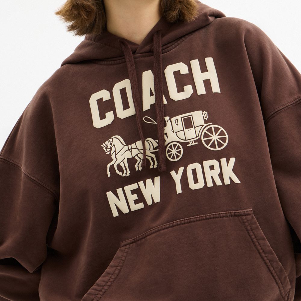 Coach Horse And Carriage Hoodie Brown
