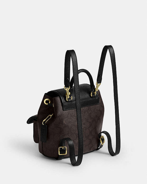 Hadley Backpack In Signature Canvas Signature Canvas-Gold-Walnut-Black Signature Canvas-Gold-Walnut-Black