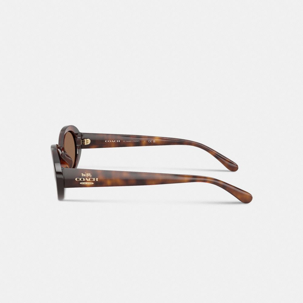 Coach Narrow Oval Sunglasses Dark Tortoise