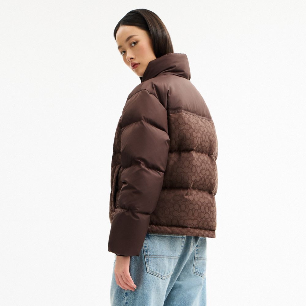 Coach Signature Down Jacket Maple