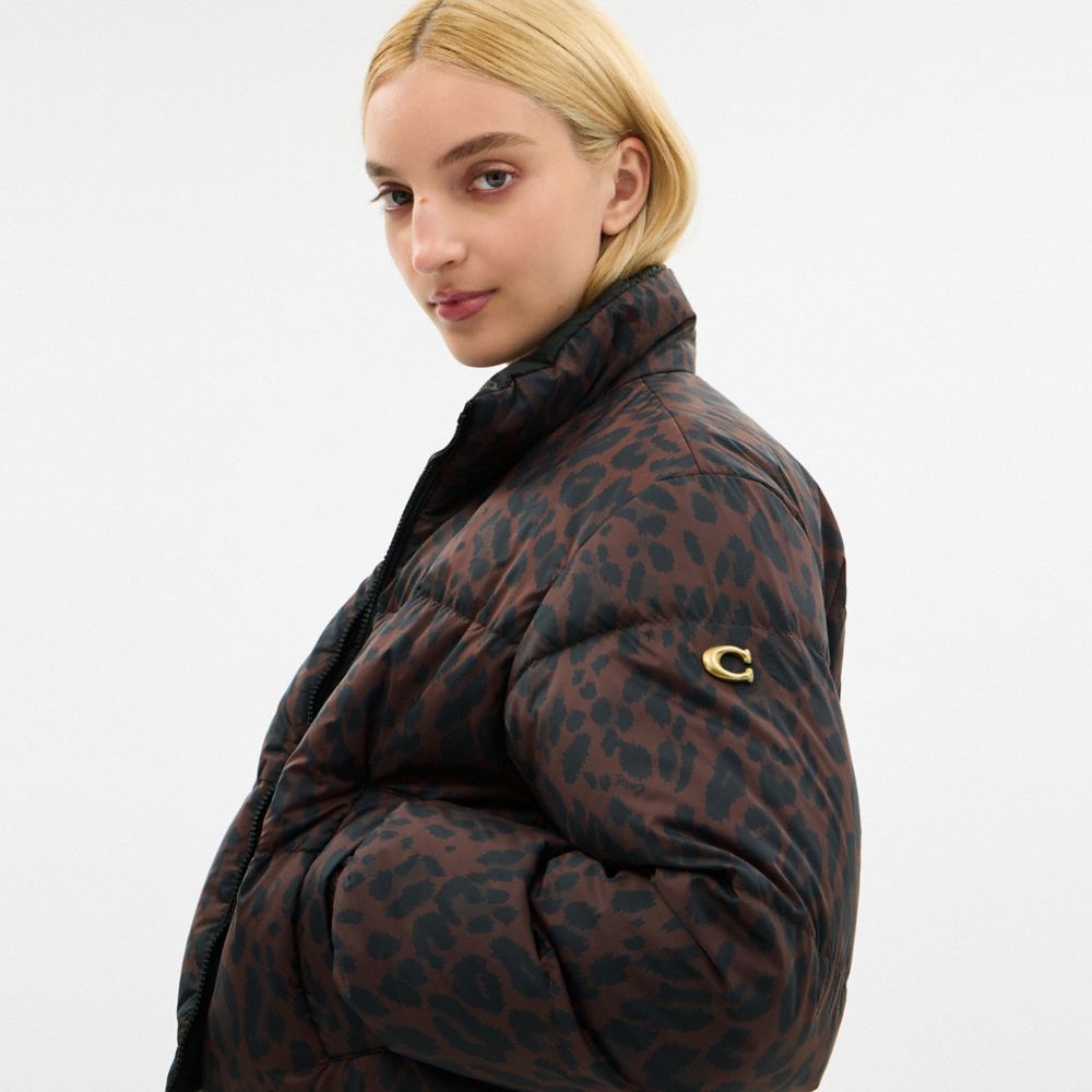 Coach Leopard Print Reversible Puffer Jacket In Recycled Polyamide Leopard