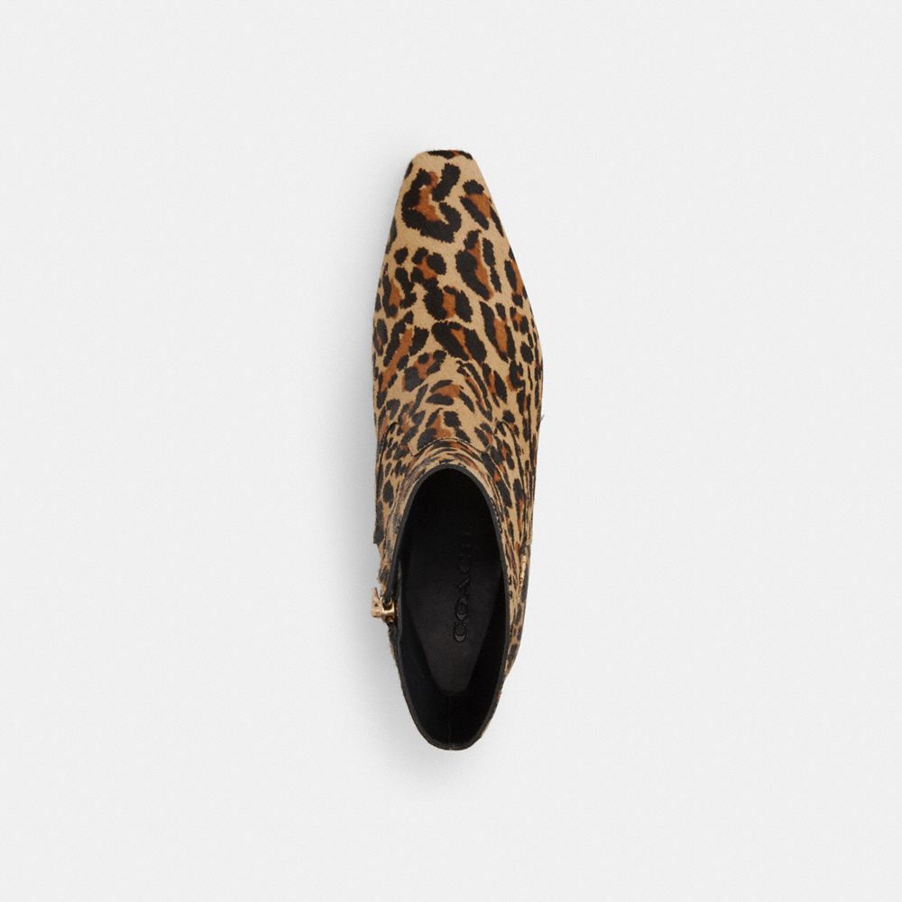 Coach Kitten Heel Bootie With Leopard Print Tan & Black