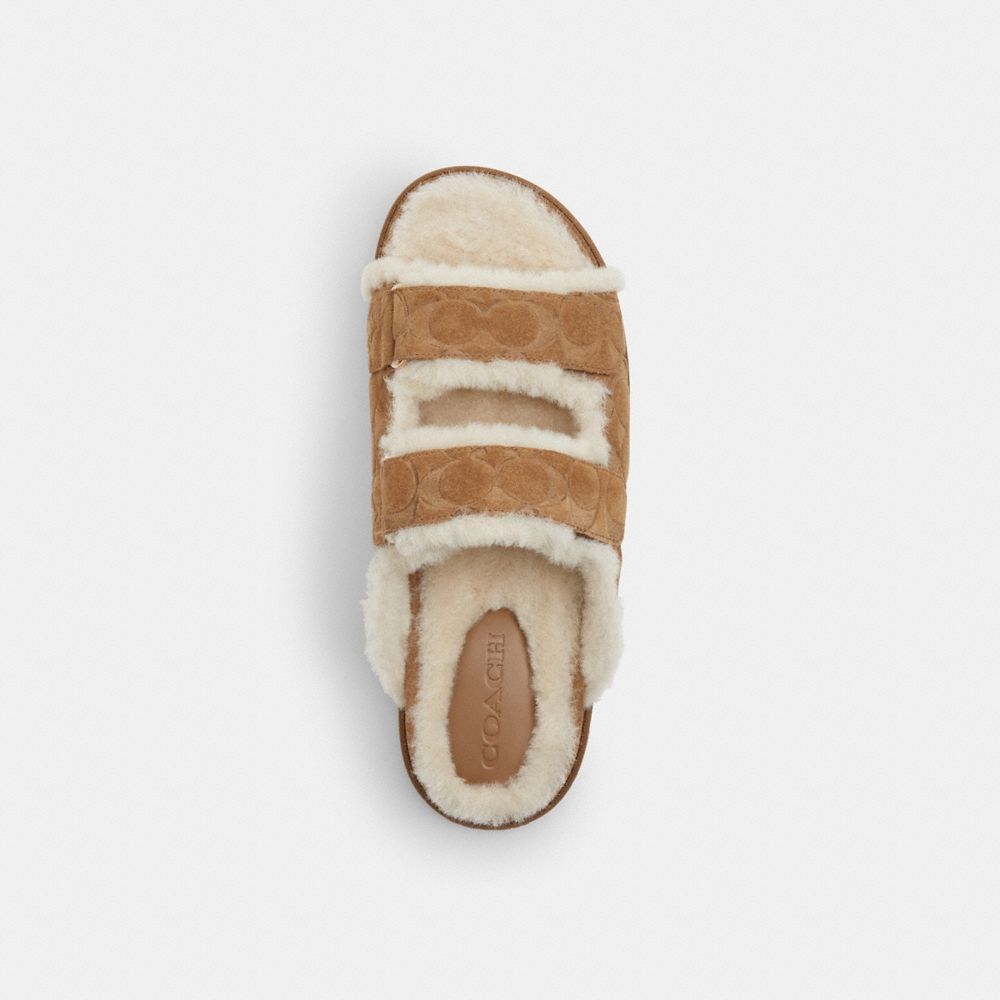 Coach Two Band Sport Slide In Signature Suede Tobacco