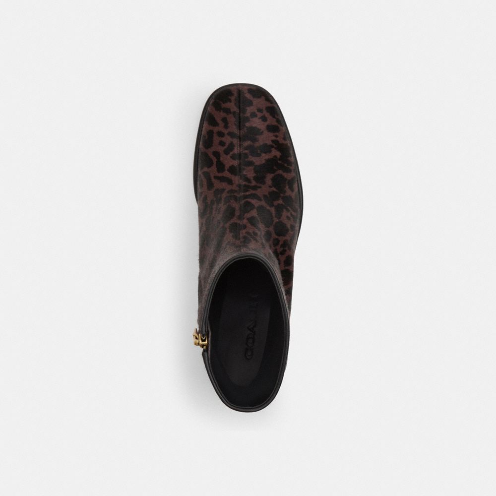 Women's Coach Gigi Bootie With Leopard Print Dark Leopard