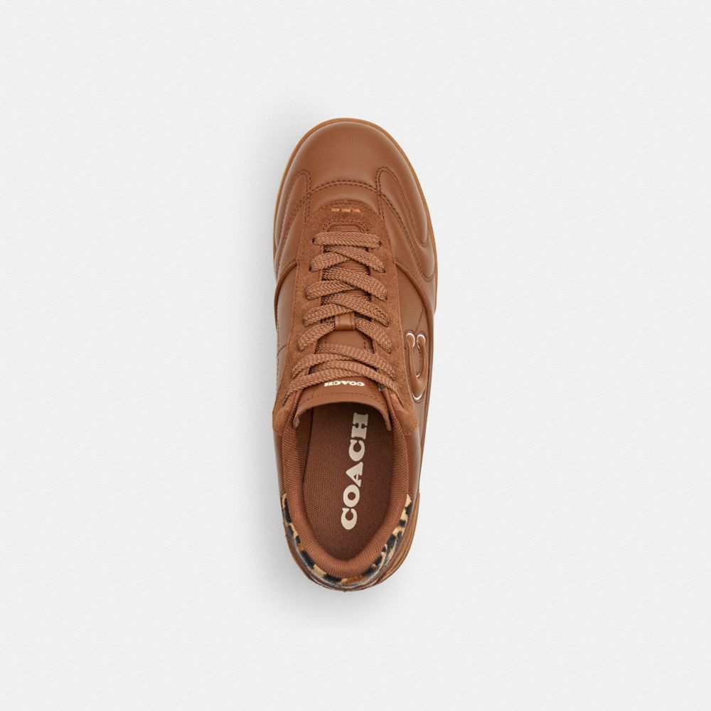 Women's Coach Match Sneaker With Leopard Print Sable Multi