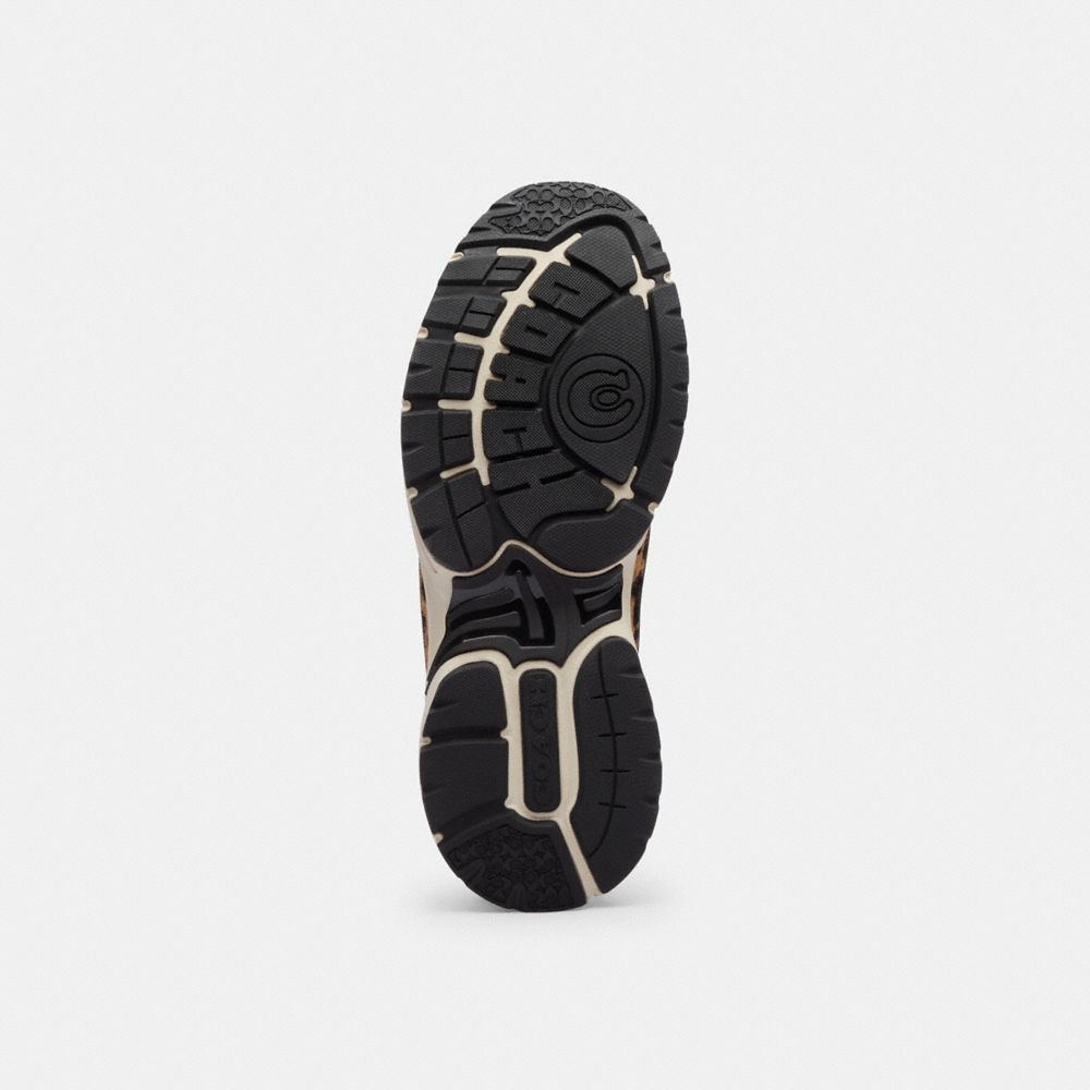 Women's Coach Sport Sneaker With Leopard Print Black Leopard