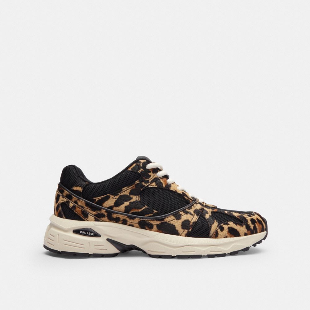 Women's Coach Sport Sneaker With Leopard Print Black Leopard