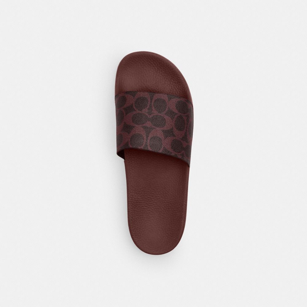 Women's Coach Udele Sport Slide In Signature Canvas Black Currant