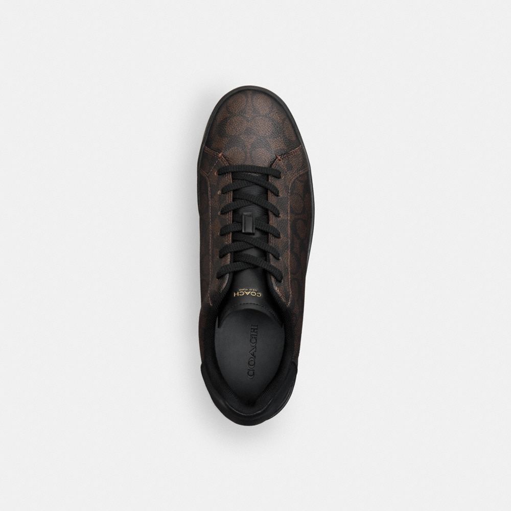 Men's Coach High Line Sneaker In Signature Canvas Walnut & Black