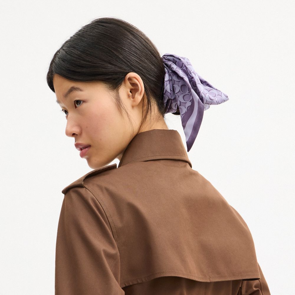 Coach Signature Silk Skinny Scarf Violet Mist