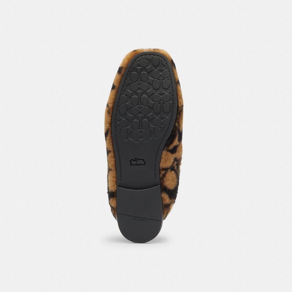 Women's Coach Slipper In Signature Shearling Coconut