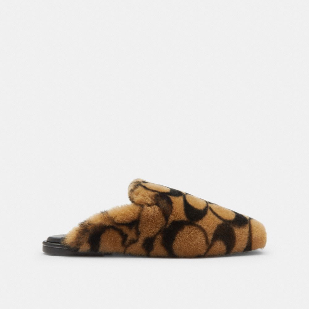 Women's Coach Slipper In Signature Shearling Coconut